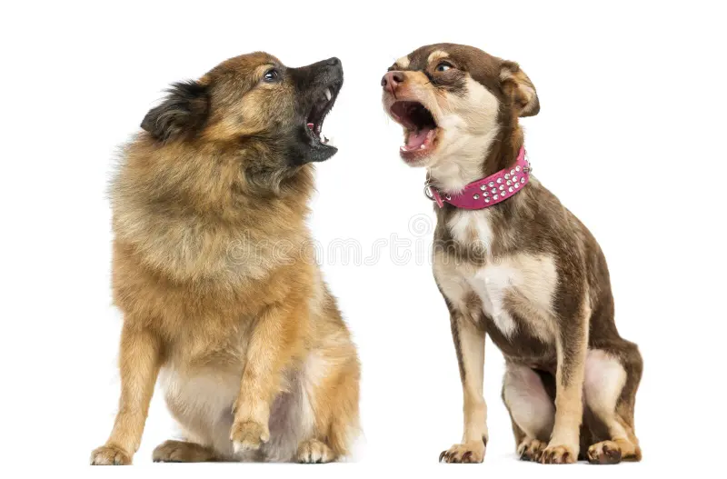 Communication